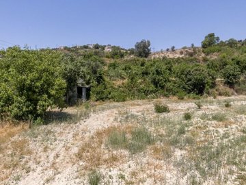 Field - Stroumpi, Paphos