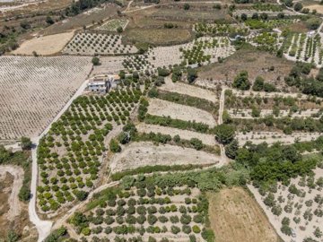 Field - Stroumpi, Paphos