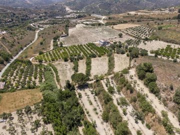 Field - Stroumpi, Paphos