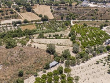 Field - Stroumpi, Paphos