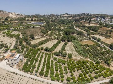 Field - Stroumpi, Paphos