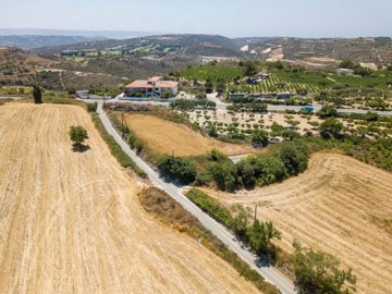 Field - Tsada, Paphos