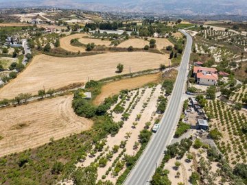 Field - Tsada, Paphos