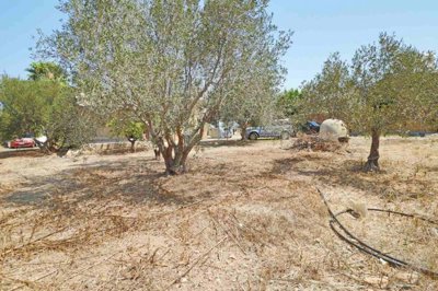 Bungalow For Sale  in  Chlorakas