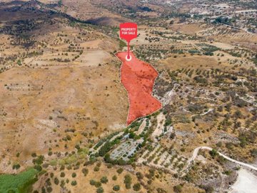 Field - Episkopi, Paphos