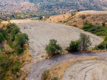 Field - Episkopi, Paphos