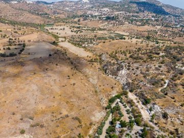 Field - Episkopi, Paphos