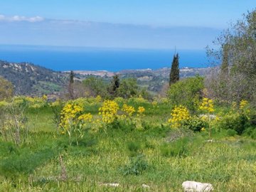 Residential Land  For Sale  in  Meladeia