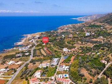 Field - Nea Dimmata, Paphos