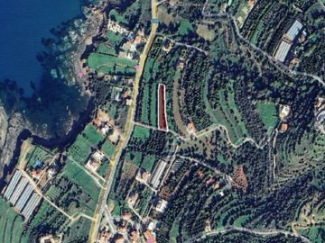 Field - Nea Dimmata, Paphos