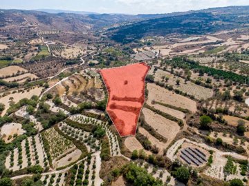 Field - Giolou, Paphos