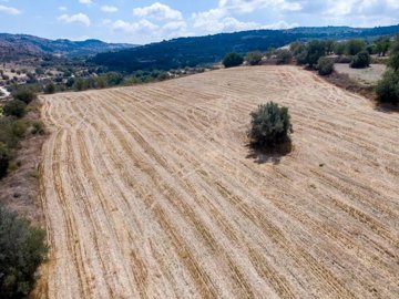 Field - Giolou, Paphos