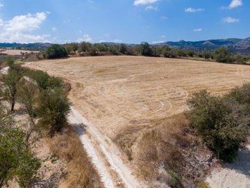 Field - Giolou, Paphos