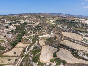 Field - Giolou, Paphos