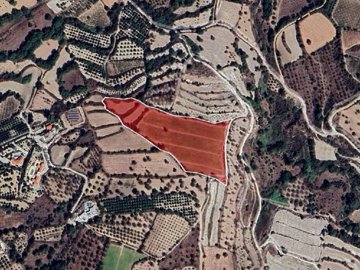 Field - Giolou, Paphos