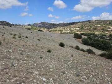 Field - ?margeti, Paphos