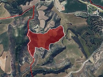 Field - Steni, Paphos