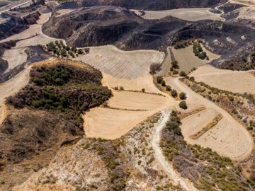 Field - Steni, Paphos