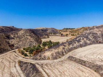 Field - Steni, Paphos
