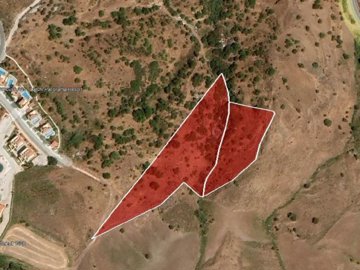 Fields - Drouseia, Paphos