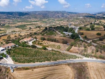 Field - Polemi, Paphos