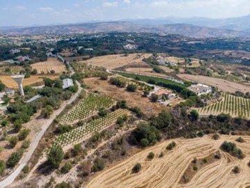 Field - Polemi, Paphos