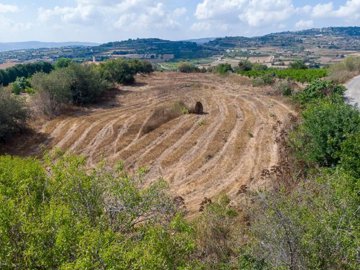 Field - Polemi, Paphos