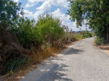 Field - Polemi, Paphos