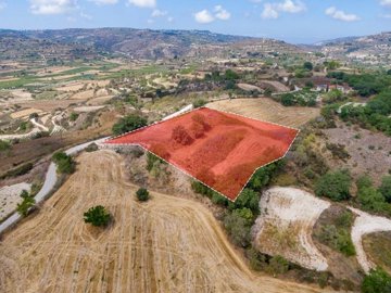 Field - Polemi, Paphos