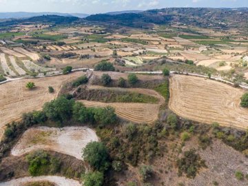 Field - Polemi, Paphos