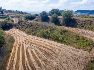 Field - Polemi, Paphos