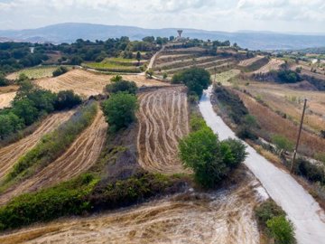 Field - Polemi, Paphos