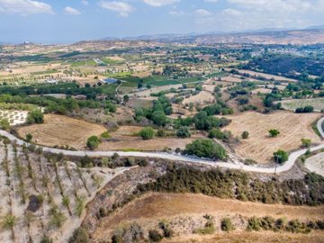 Field - Polemi, Paphos