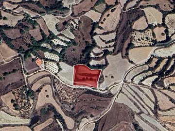 Field - Polemi, Paphos