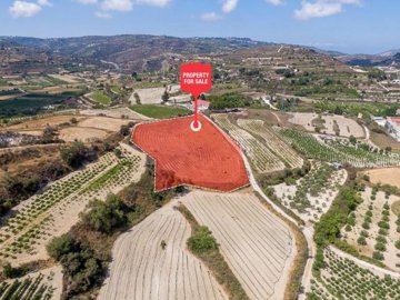 Field - Polemi, Paphos