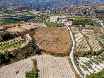 Field - Polemi, Paphos