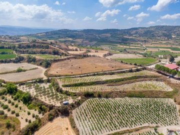 Field - Polemi, Paphos