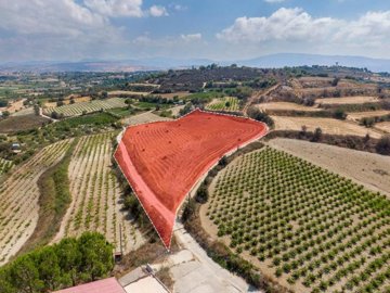 Field - Polemi, Paphos