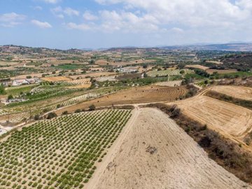 Field - Polemi, Paphos