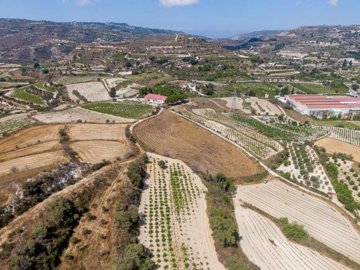 Field - Polemi, Paphos