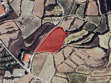 Field - Polemi, Paphos