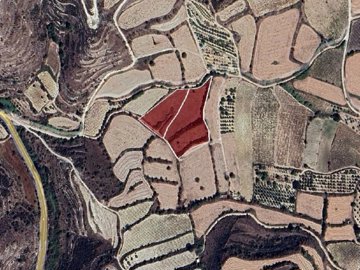 Field - Stroumpi, Paphos