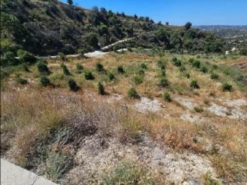Field - Psathi, Paphos