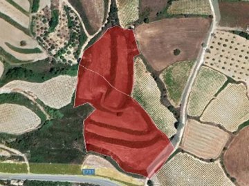 Field - Stroumpi, Paphos
