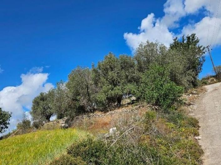 Image No.3-Land for sale