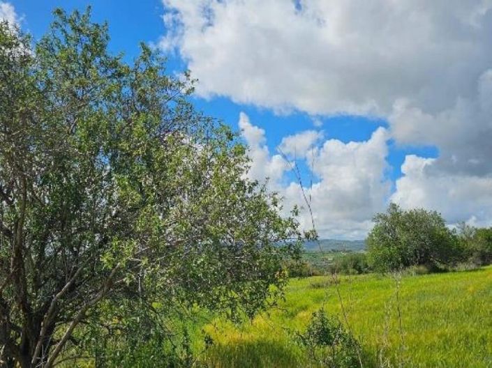 Image No.4-Land for sale