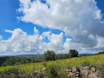 Field - Thrinia, Paphos