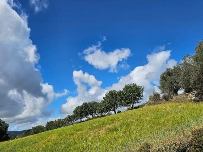 Image No.6-Land for sale