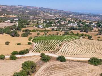 Field - Pano Akourdaleia, Paphos