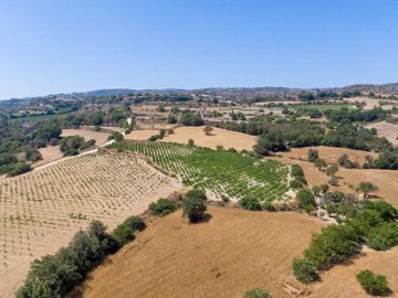 Field - Pano Akourdaleia, Paphos